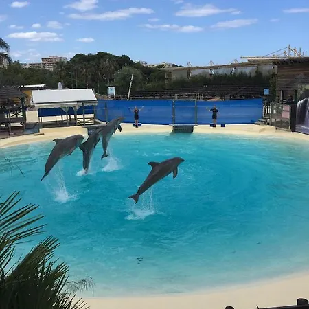 Sunny Aquario